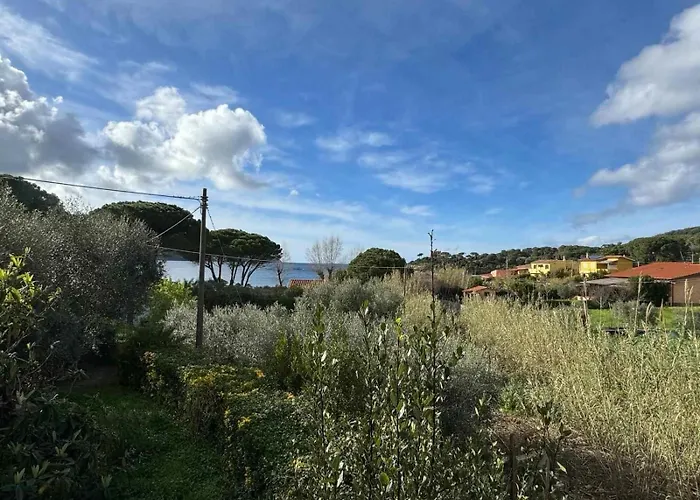 Casa Bruno Διαμέρισμα Marciana (Isola d'Elba)